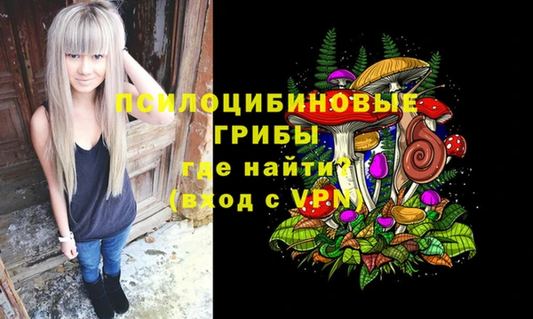 МДПВ Беломорск