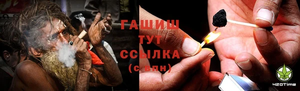 хмурый Белокуриха