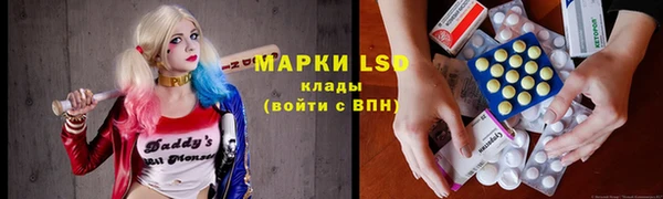 хмурый Белокуриха