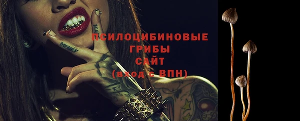 прущие крисы Белоозёрский