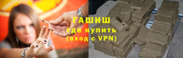 хмурый Белокуриха