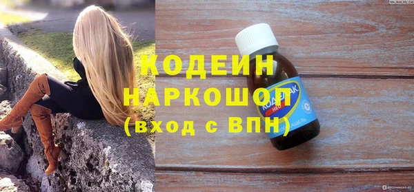 хмурый Белокуриха