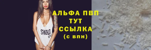 хмурый Белокуриха
