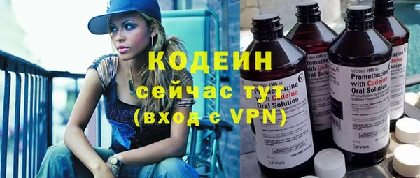 хмурый Белокуриха