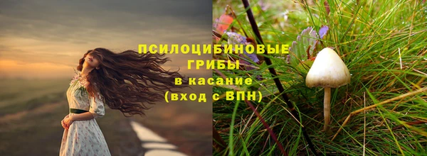 хмурый Белокуриха