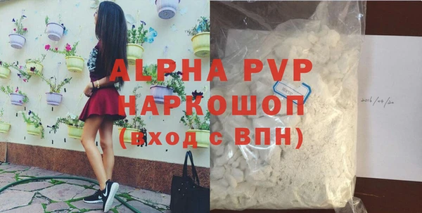 хмурый Белокуриха