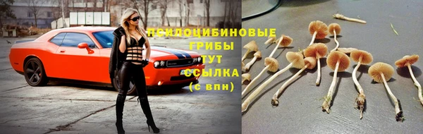 прущие крисы Белоозёрский